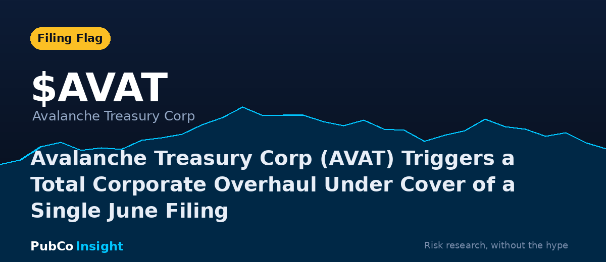 AVAT Avalanche Treasury Corp