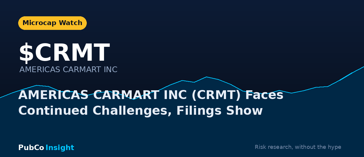 CRMT AMERICAS CARMART INC