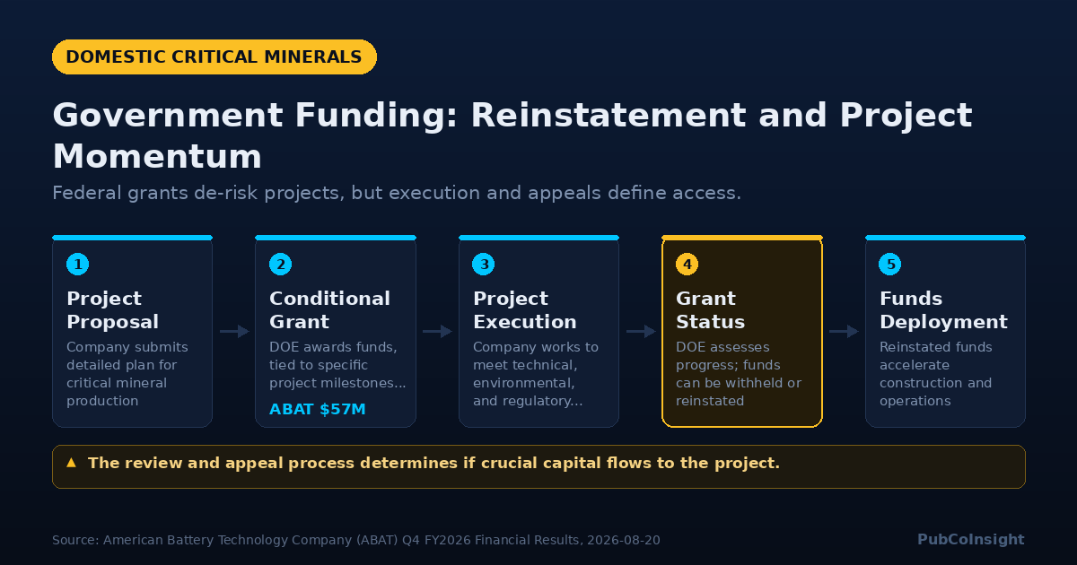 Government Funding: Reinstatement and Project Momentum